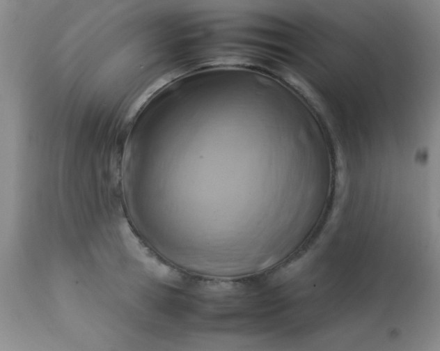 X0000113640945200910021913