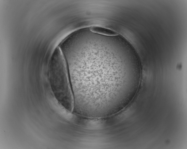 X0000113640948200910021913