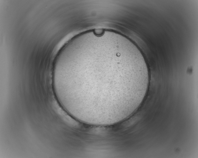 X0000113640950200910021913