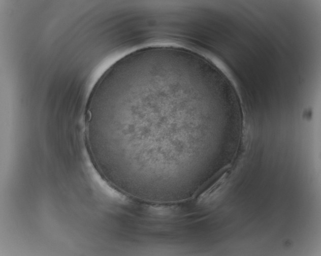 X0000113640951200910021913