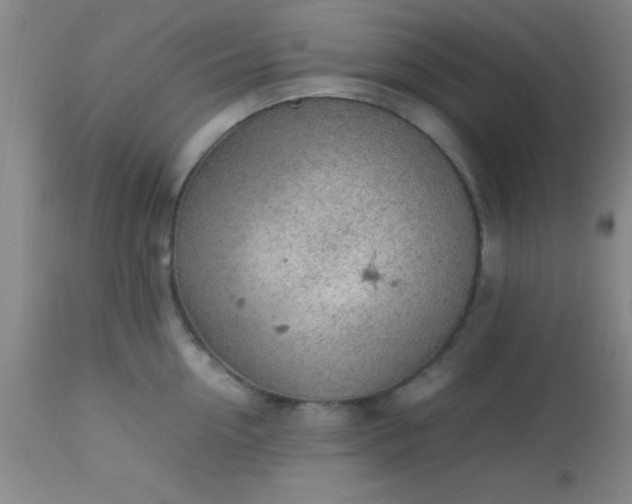 X0000113640954200910021913