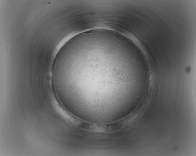 X0000113640955200910021913