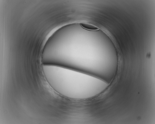 X0000113640956200910021913