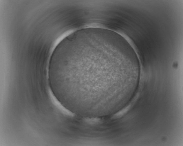 X0000113640957200910021913