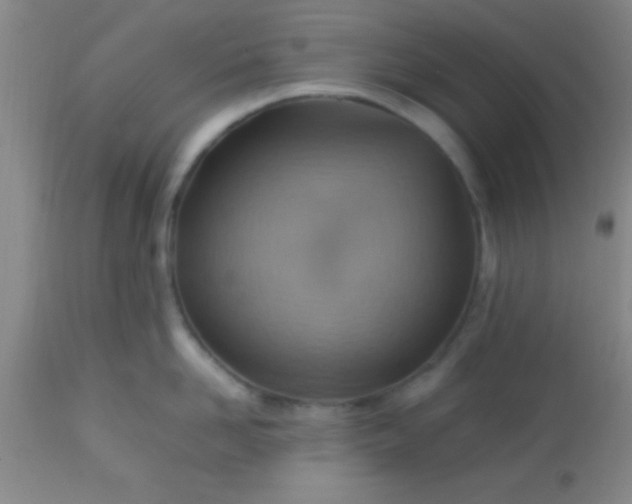 X0000113640958200910021913