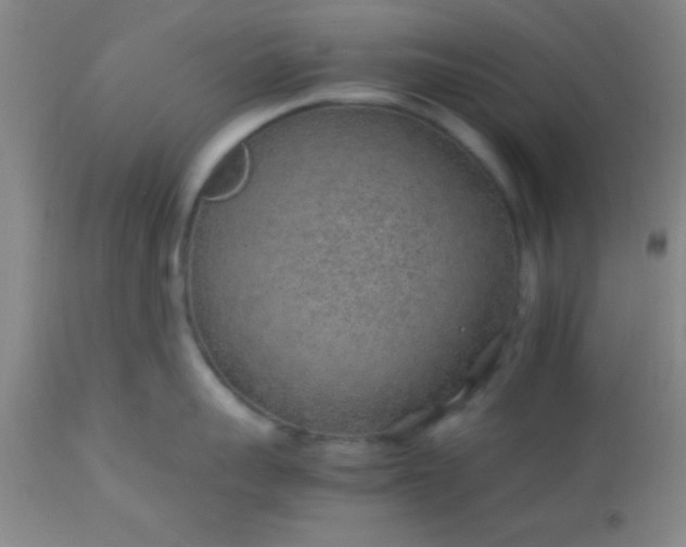 X0000113640959200910021913