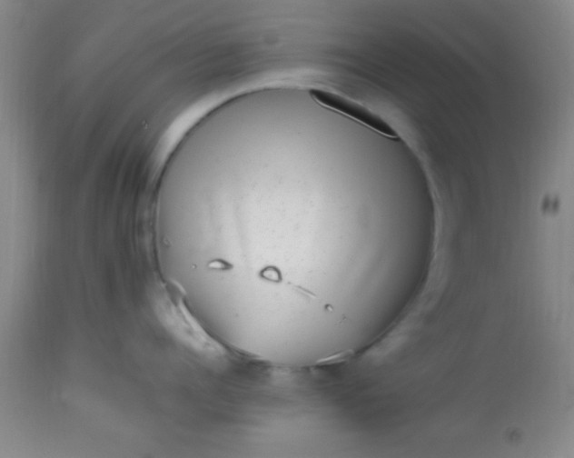 X0000113640960200910021913