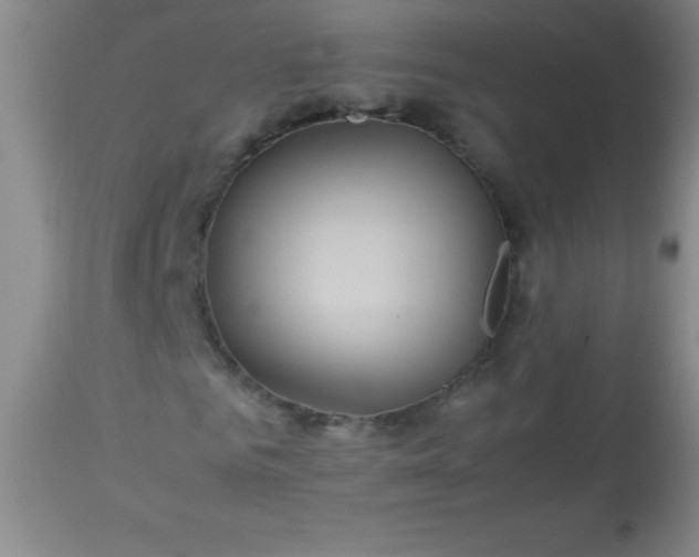 X0000113640961200910021913