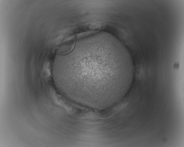 X0000113640962200910021913