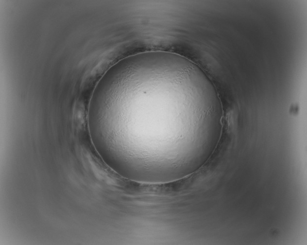 X0000113640963200910021913