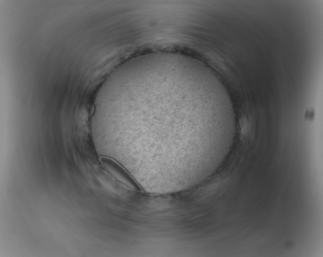 X0000113640964200910021913