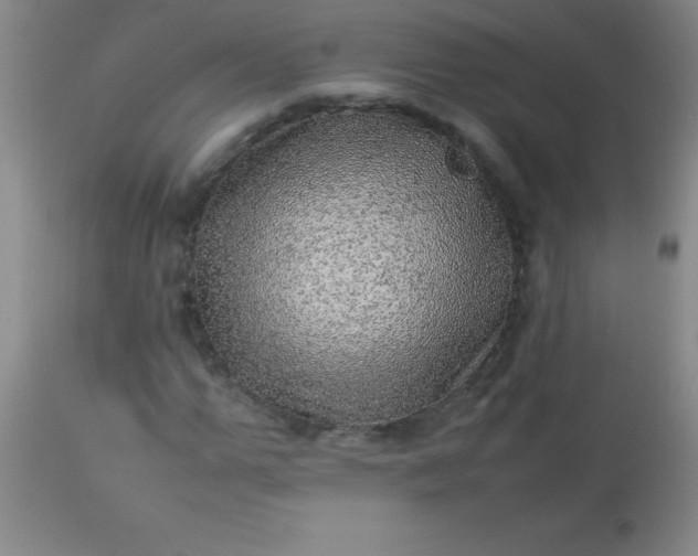 X0000113640967200910021913