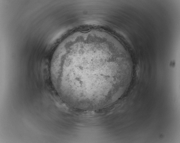 X0000113640968200910021912