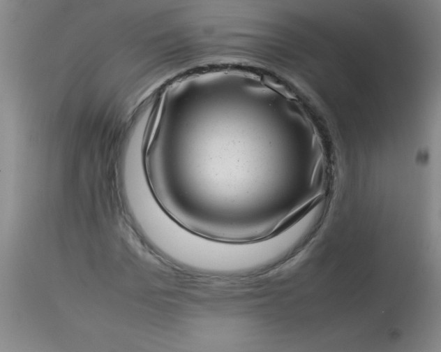 X0000113640969200910021912