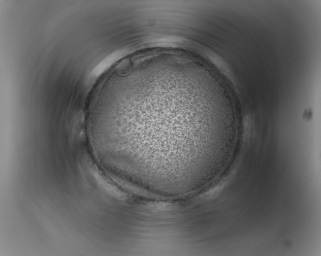 X0000113640970200910021912