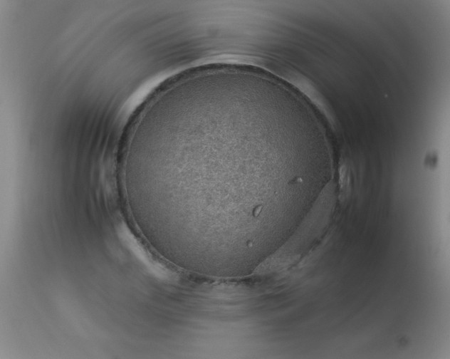 X0000113640972200910021912