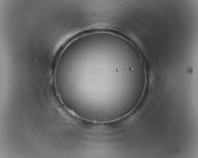 X0000113640973200910021912