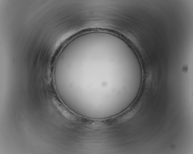 X0000113640974200910021912