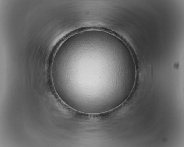 X0000113640975200910021912