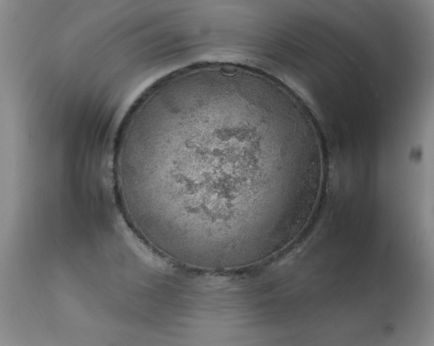 X0000113640976200910021912