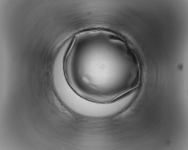 X0000113640977200910021912