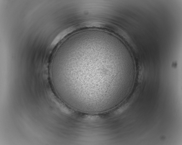 X0000113640978200910021912