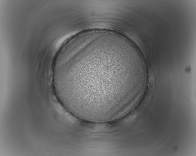 X0000113640979200910021912