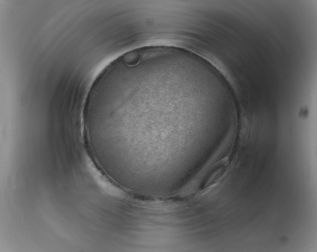 X0000113640980200910021912