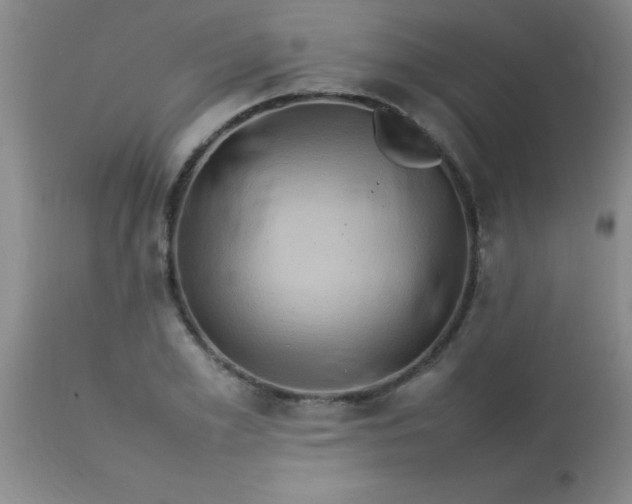 X0000113640981200910021912