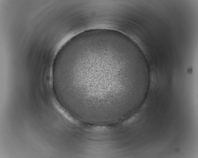 X0000113640982200910021912