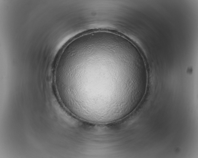 X0000113640983200910021912