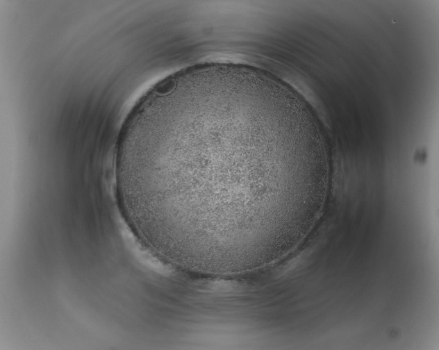 X0000113640984200910021912