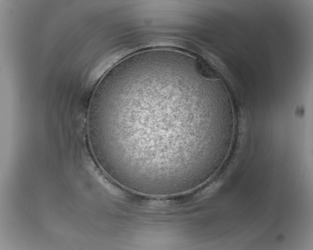 X0000113640985200910021912