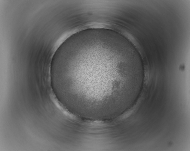 X0000113640986200910021912