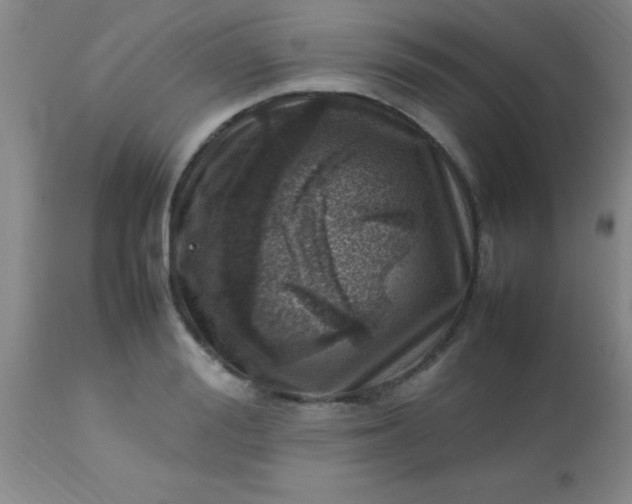 X0000113640988200910021912