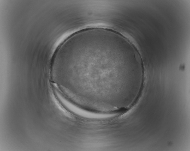 X0000113640989200910021912