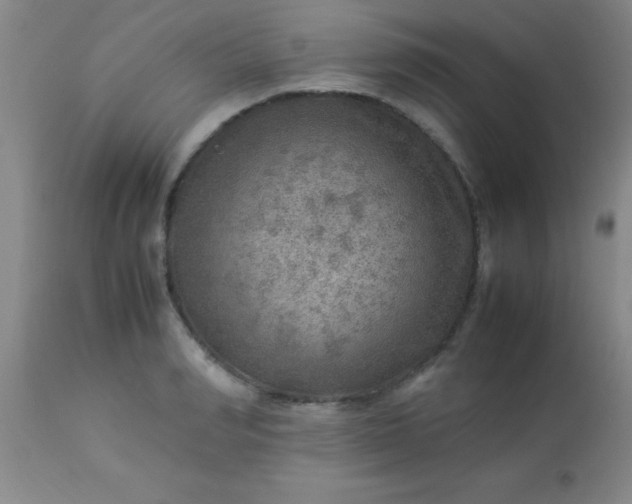 X0000113640990200910021912