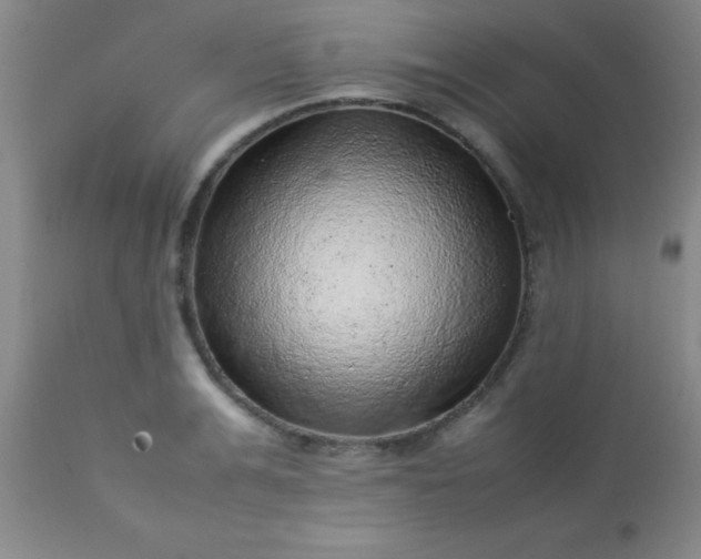 X0000113640991200910021912