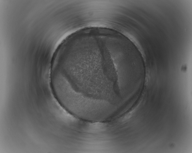 X0000113640992200910021912