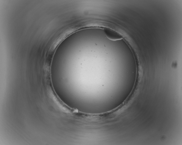 X0000113640993200910021912