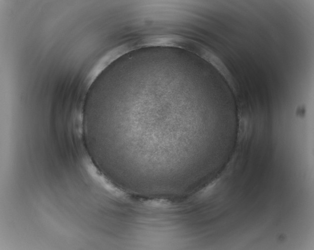 X0000113640994200910021912