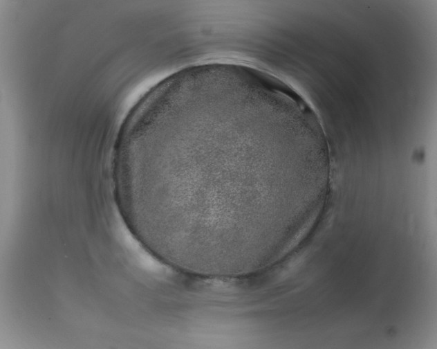 X0000113640995200910021912