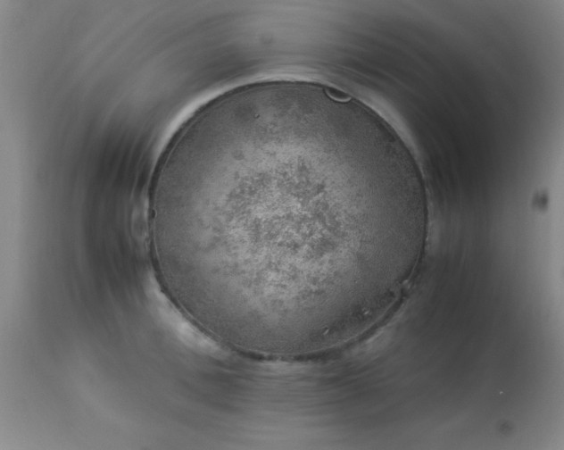 X0000113640996200910021912