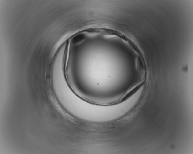 X0000113640997200910021912