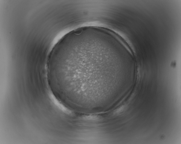 X0000113640998200910021912