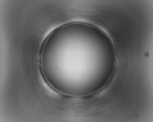 X0000113640999200910021912