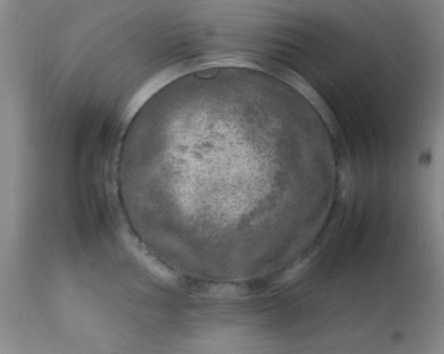 X0000113641002200910021912