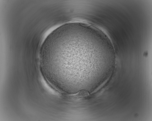 X0000113641003200910021912