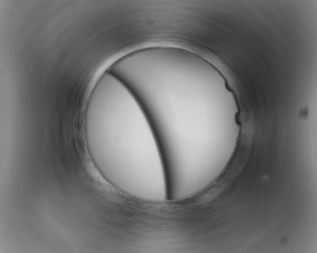 X0000113641004200910021912