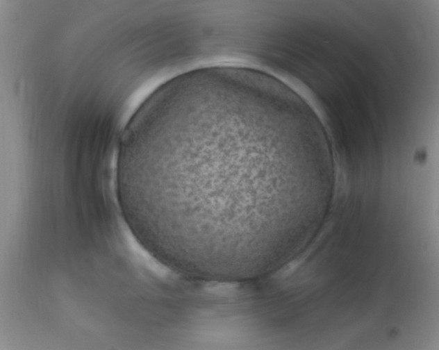 X0000113641006200910021912